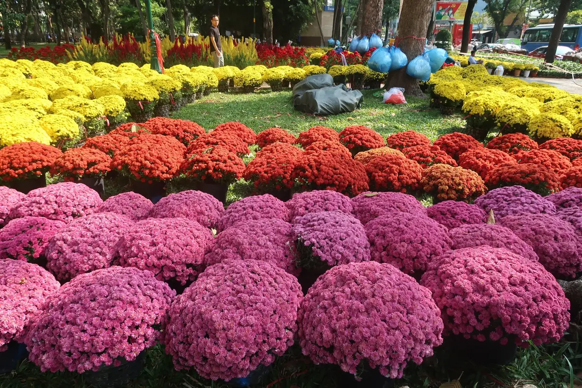 Review 6 chợ Tết Sài Gòn nổi tiếng: Ăn gì, chơi ở đâu? 5 review 6 cho tet sai gon noi tieng an gi choi o dau 2