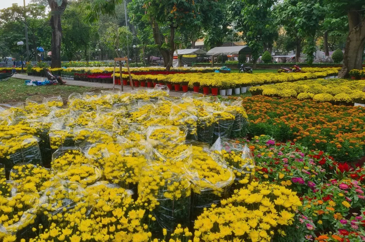 Review 6 chợ Tết Sài Gòn nổi tiếng: Ăn gì, chơi ở đâu? 7 review 6 cho tet sai gon noi tieng an gi choi o dau 4