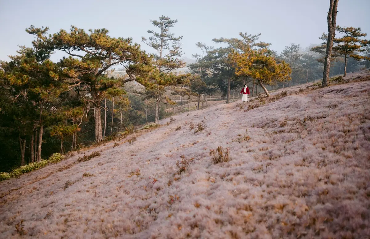 Tháng 12 nên đi du lịch ở đâu: 12 tọa độ săn mây tuyết 7 thang 12 nen di du lich o dau 12 toa do san may tuyet 4
