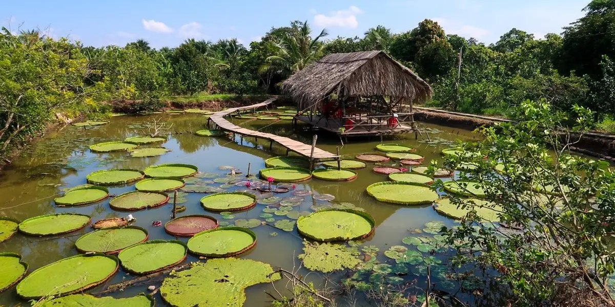15 Làng quê Việt Nam đẹp nhất: Điểm đến chữa lành tâm hồn 14 15 lang que viet nam dep nhat diem den chua lanh tam hon 11