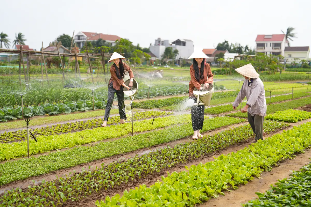 15 Làng quê Việt Nam đẹp nhất: Điểm đến chữa lành tâm hồn 11 15 lang que viet nam dep nhat diem den chua lanh tam hon 8