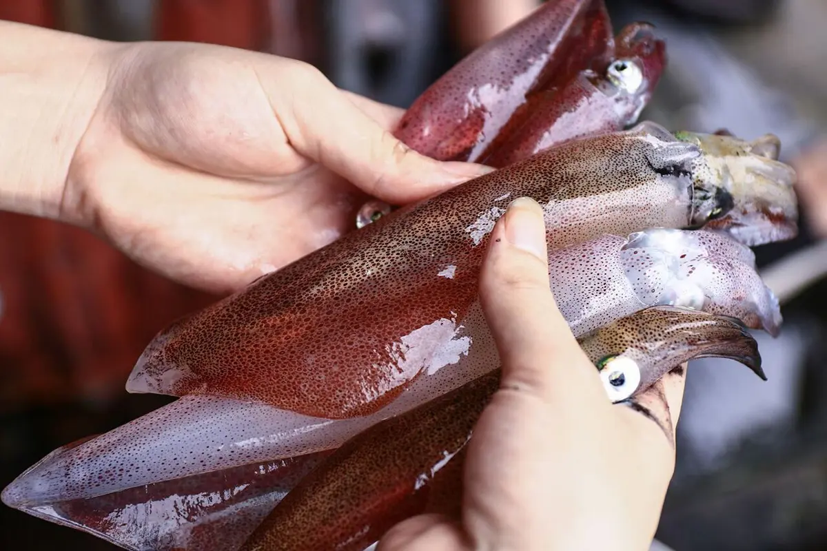 7 Kinh nghiệm du lịch Nghệ An tự túc chi tiết từ A-Z 17 7 kinh nghiem du lich nghe an tu tuc chi tiet tu a z 14