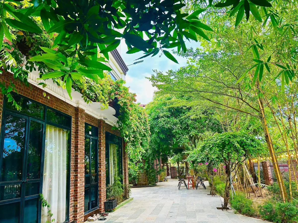 7 Kinh nghiệm du lịch Nghệ An tự túc chi tiết từ A-Z 7 7 kinh nghiem du lich nghe an tu tuc chi tiet tu a z 4