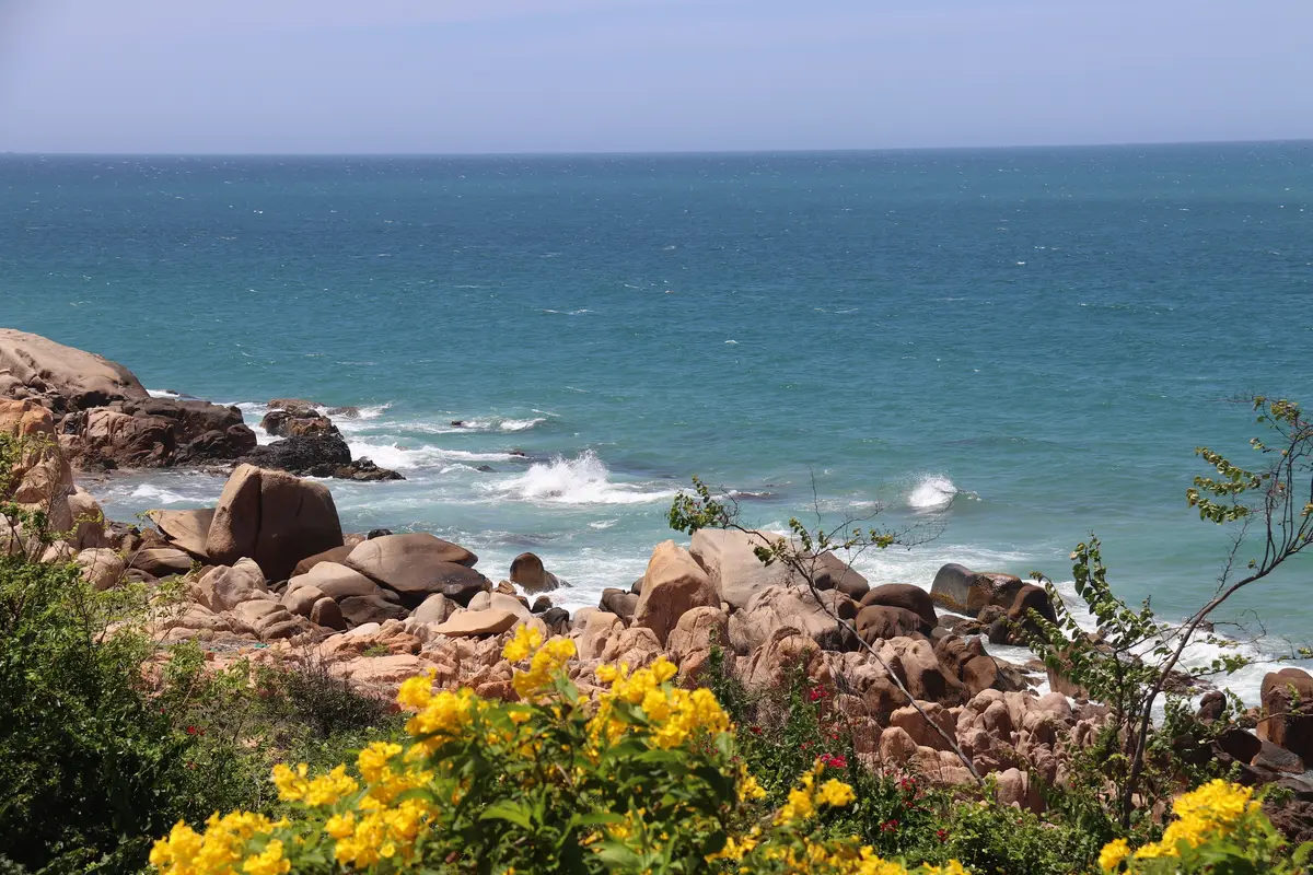 Kinh nghiệm du lịch Cổ Thạch: 5 bí kíp săn rêu đẹp nhất 7 kinh nghiem du lich co thach 5 bi kip san reu dep nhat 5