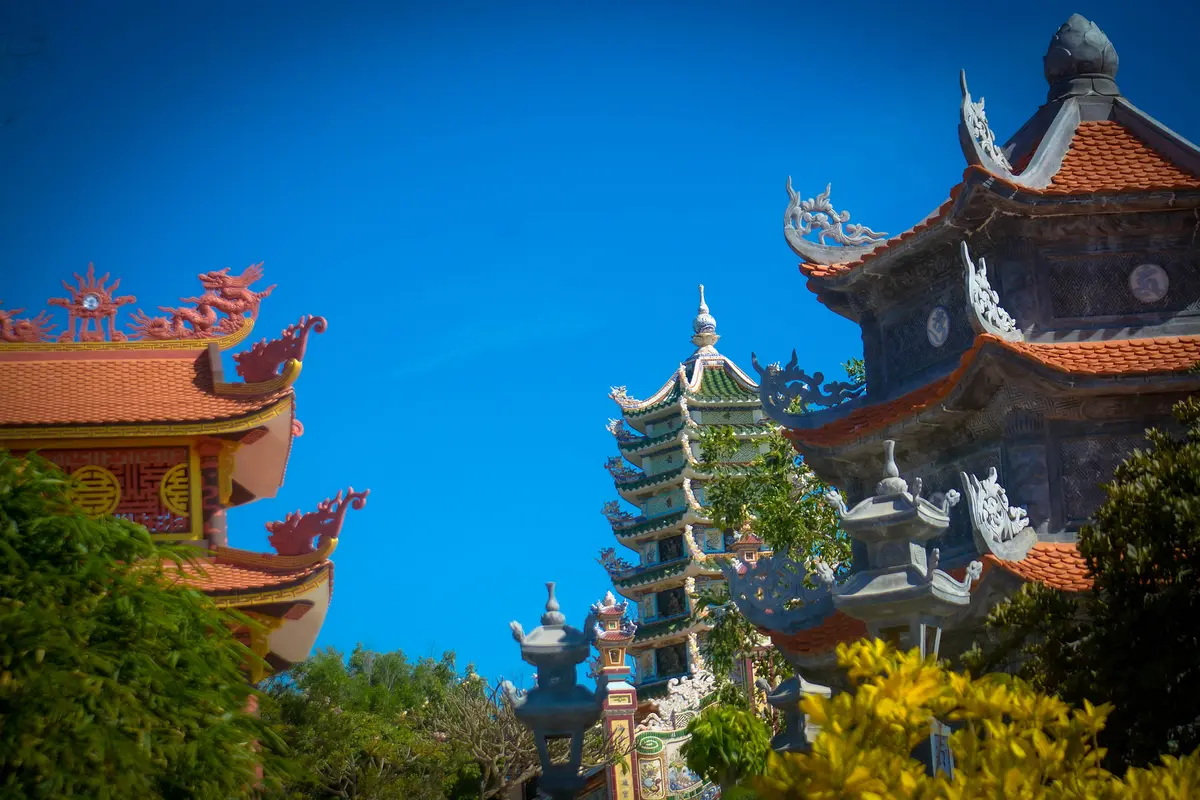 Kinh nghiệm du lịch Cổ Thạch: 5 bí kíp săn rêu đẹp nhất 8 kinh nghiem du lich co thach 5 bi kip san reu dep nhat 6