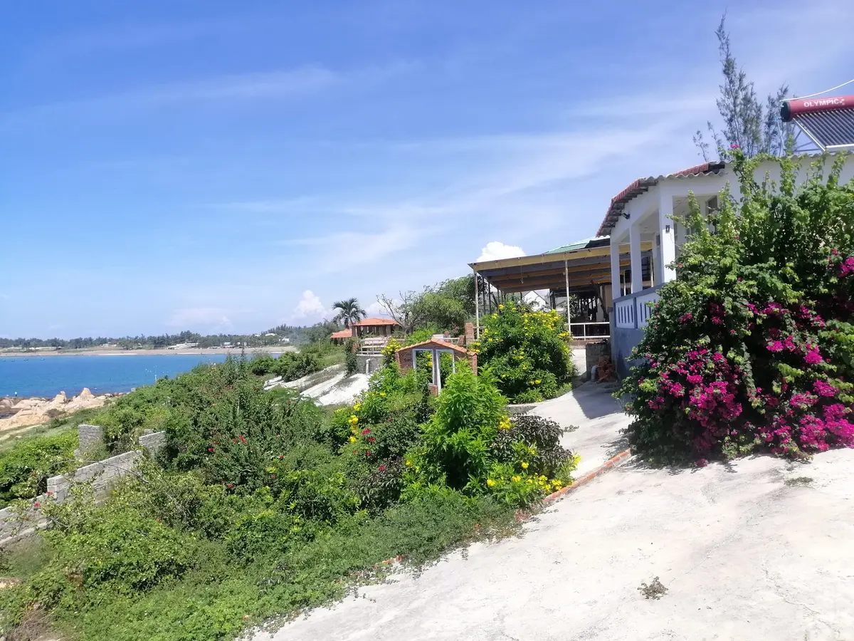 Kinh nghiệm du lịch Cổ Thạch: 5 bí kíp săn rêu đẹp nhất 9 kinh nghiem du lich co thach 5 bi kip san reu dep nhat 8