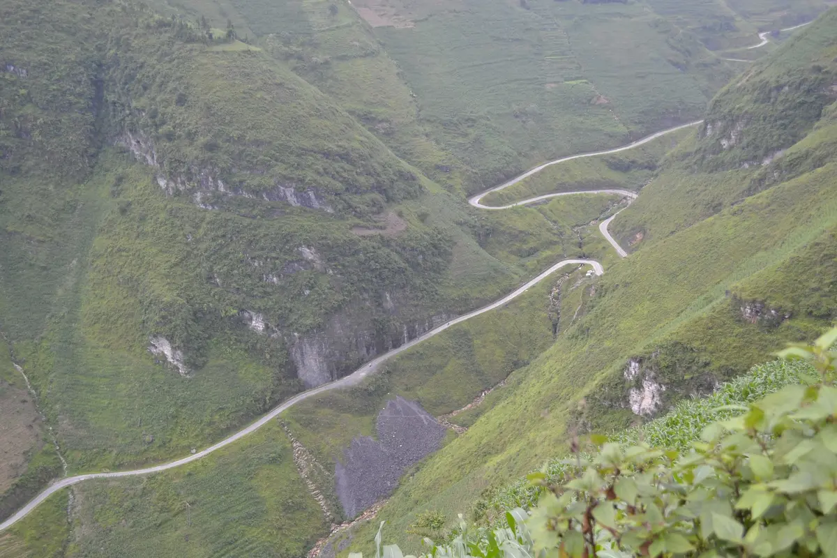 Mùa tam giác mạch Hà Giang: 5 bí quyết săn hoa đẹp nhất 6 mua tam giac mach ha giang 5 bi quyet san hoa dep nhat 4