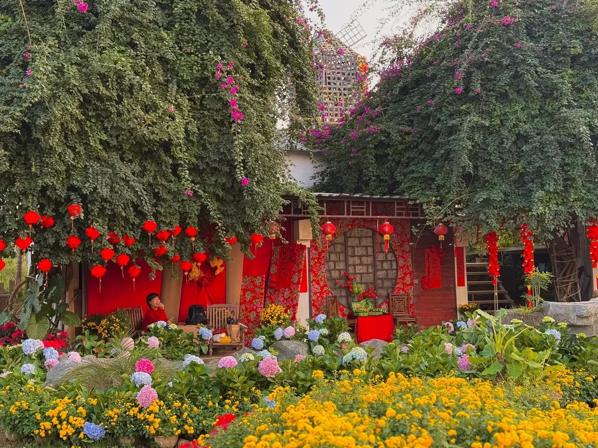 Review vườn đào Nhật Tân 2026: Cẩm nang du xuân chi tiết 7 review vuon dao nhat tan 2026 cam nang du xuan chi tiet 4