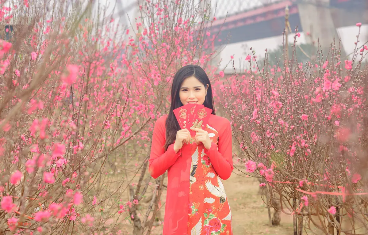 Review vườn đào Nhật Tân 2026: Cẩm nang du xuân chi tiết 9 review vuon dao nhat tan 2026 cam nang du xuan chi tiet 6