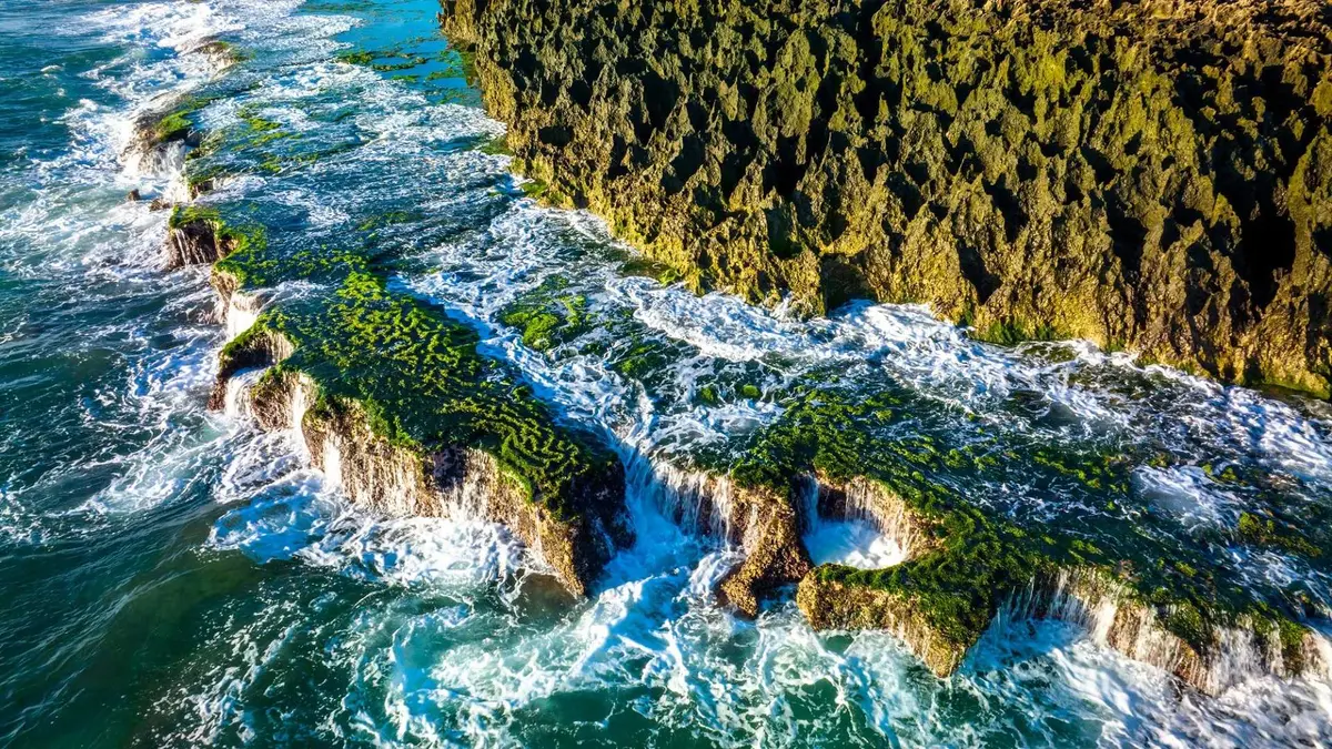 6 thien duong co that o viet nam dep quen loi ve 3