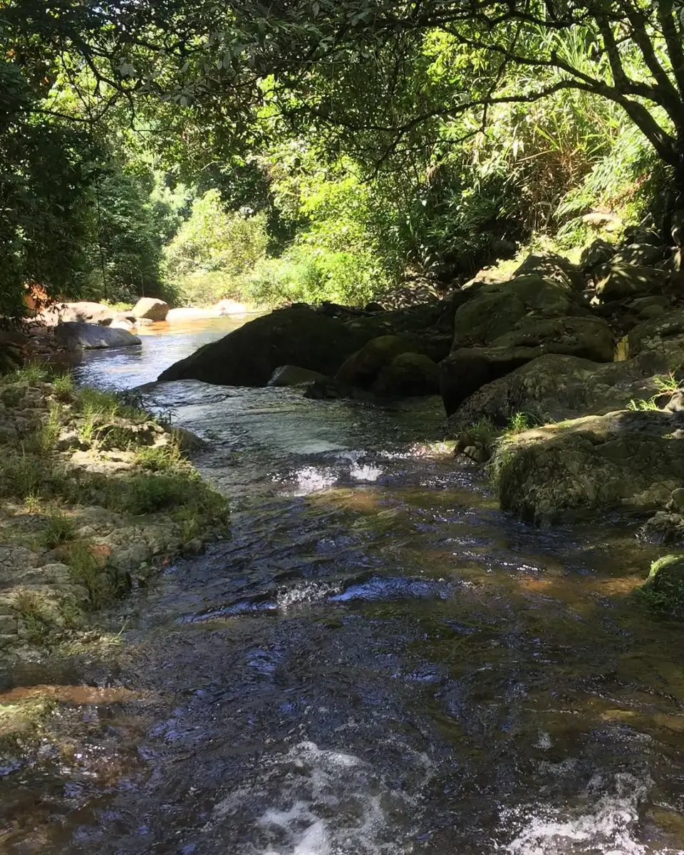 Trekking miền Trung: 10 cung đường đẹp nhất và cẩm nang A-Z 15 A Lưới (Huế) - Timeout Việt Nam