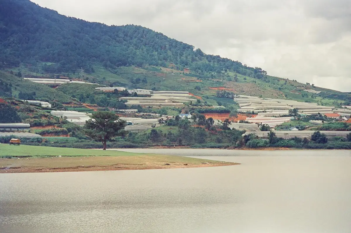 Khám phá Việt Nam theo cách của CNN: 8 trải nghiệm tuyệt nhất 13 Khung cảnh Đà Lạt - Timeout Việt Nam