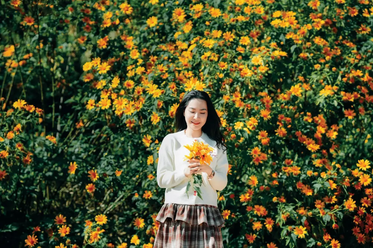 16 địa điểm chụp ảnh hoa dã quỳ đẹp nhất 3 miền 14 Hoa dã quỳ - Hồ Tuyền Lâm - Timeout Việt Nam