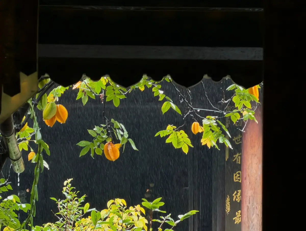 Du lịch trái mùa Việt Nam: Top 13 điểm đến tiết kiệm nhất 10 Du lịch Huế mùa mưa - Du lịch trái mùa - Timeout Việt Nam