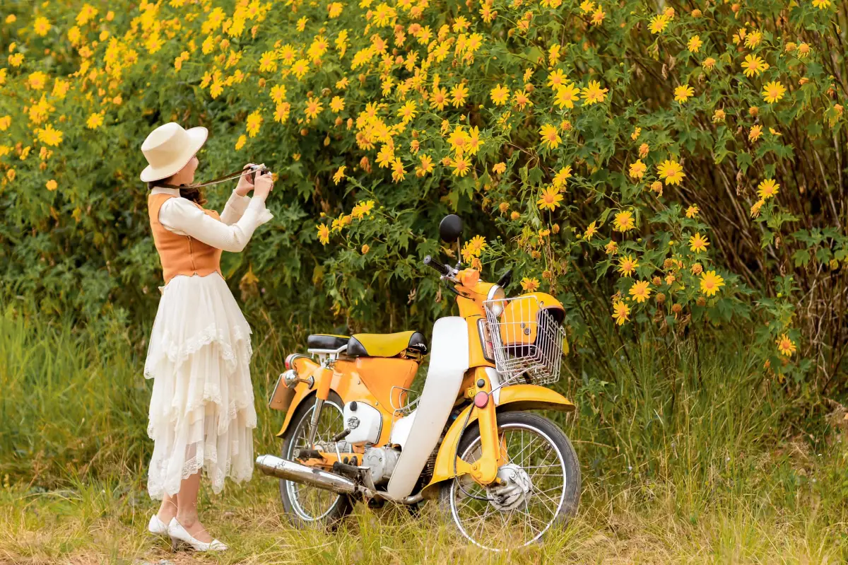 16 địa điểm chụp ảnh hoa dã quỳ đẹp nhất 3 miền 10 Chụp ảnh hoa dã quỳ - Măng Đen, Kon Tum - Timeout Việt Nam