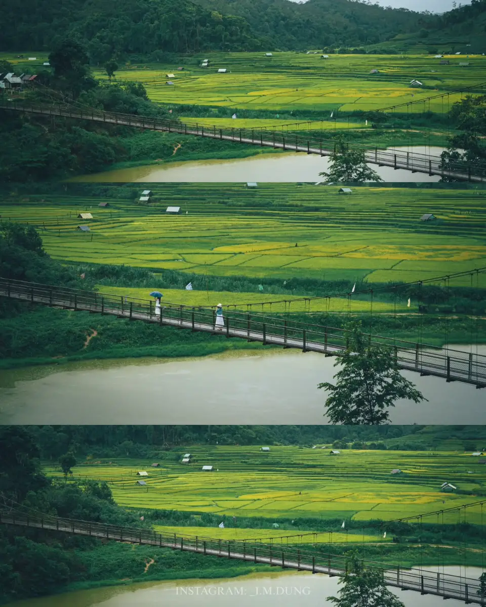 Du lịch trái mùa Việt Nam: Top 13 điểm đến tiết kiệm nhất 14 Măng Đen (Kon Tum) - Du lịch trái mùa - Timeout Việt Nam