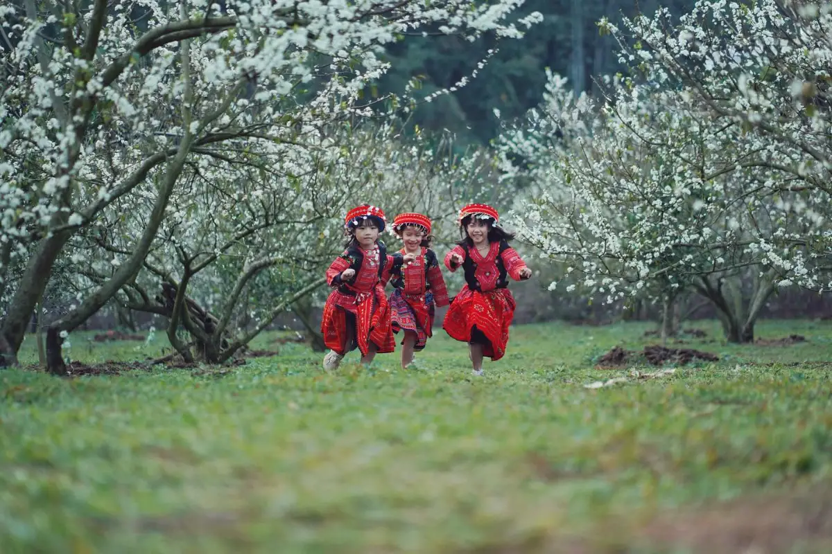 Du lịch trái mùa Việt Nam: Top 13 điểm đến tiết kiệm nhất 7 Mộc Châu (Sơn La) - Thiên đường hoa mận - Du lịch trái mùa Việt Nam - Timeout Việt Nam