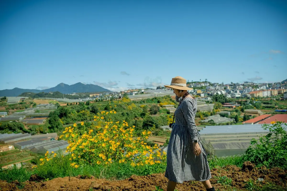 Mùa hoa dã quỳ Đà Lạt: 6 cung đường và bí kíp săn hoa 5 mua hoa da quy da lat 6 cung duong va bi kip san hoa 2