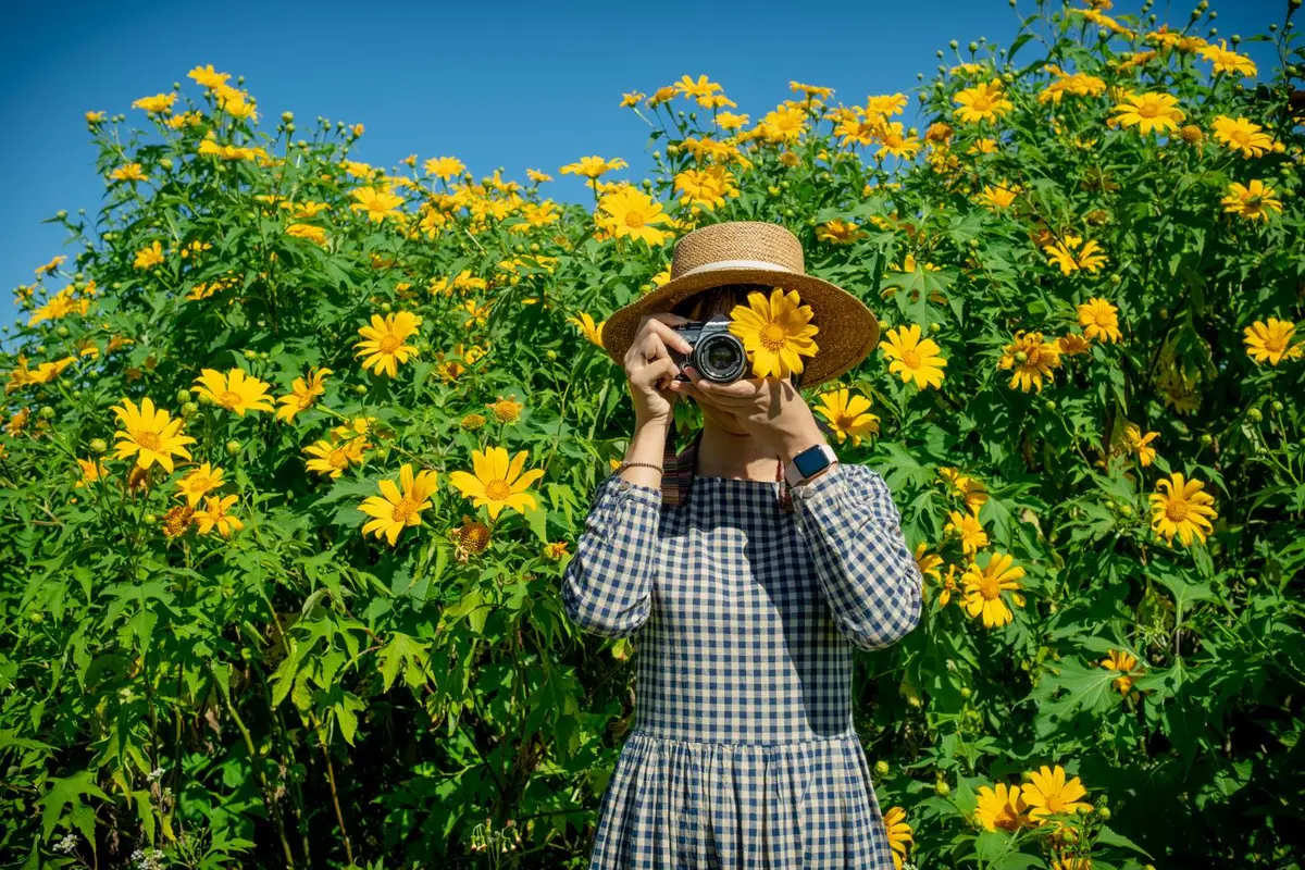 Mùa hoa dã quỳ Đà Lạt: 6 cung đường và bí kíp săn hoa 6 mua hoa da quy da lat 6 cung duong va bi kip san hoa 3