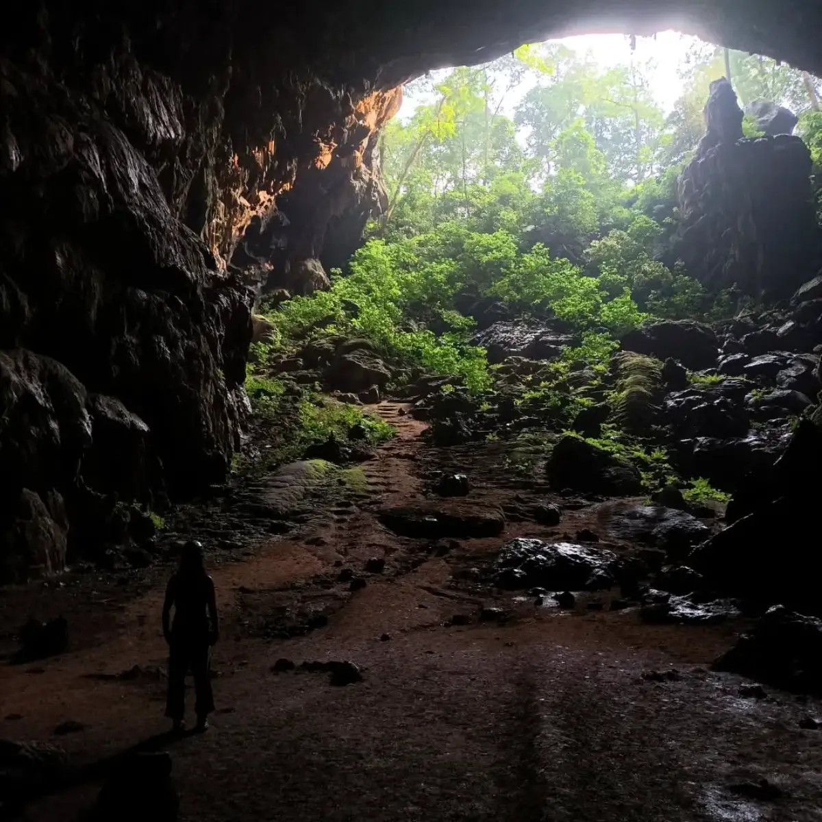 Trekking miền Trung: 10 cung đường đẹp nhất và cẩm nang A-Z 7 Phong Nha - Kẻ Bàng - Timeout Việt Nam