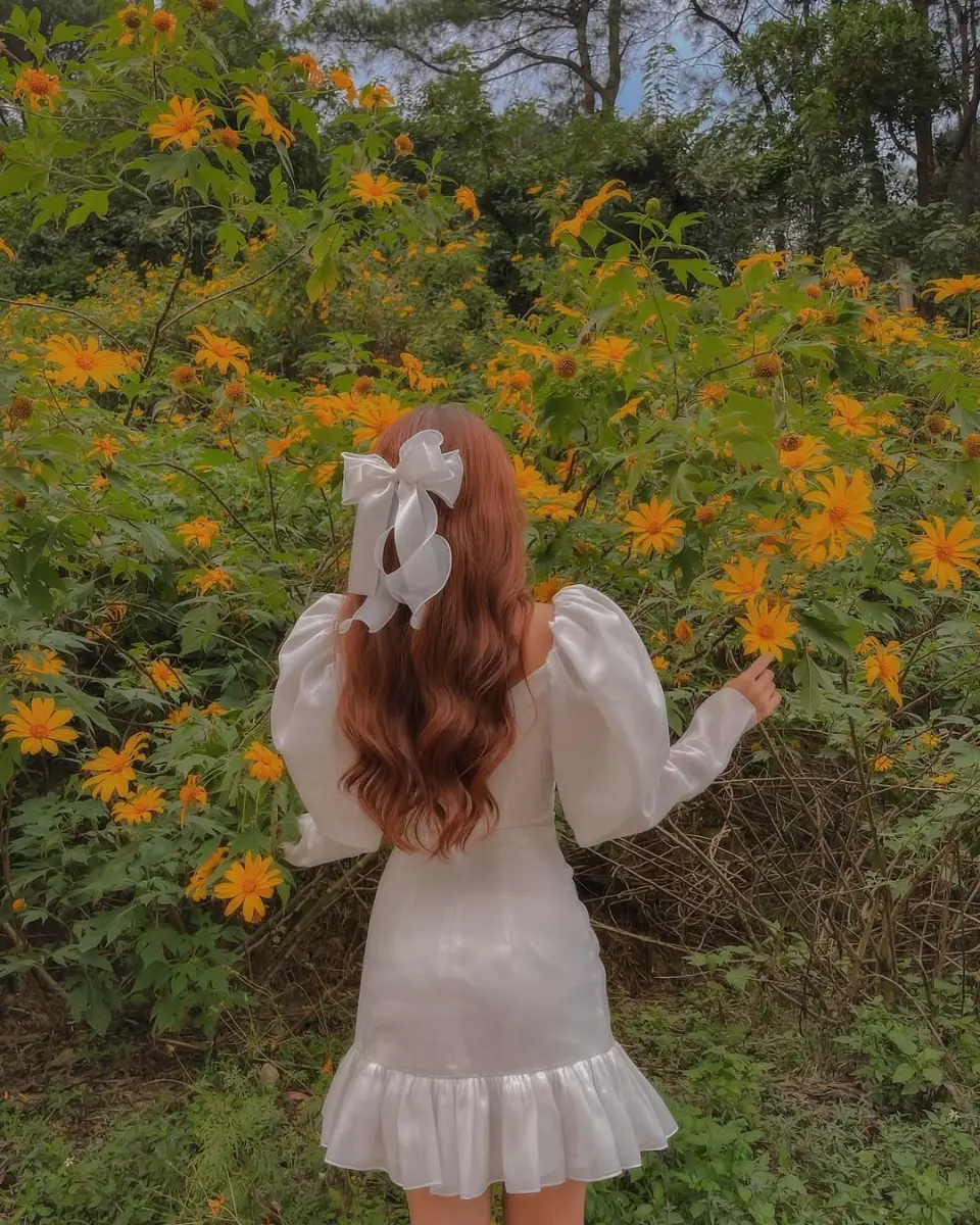 16 địa điểm chụp ảnh hoa dã quỳ đẹp nhất 3 miền 3 Đồi Hoa Dã Quỳ - Vườn Quốc Gia Ba Vì - Timeout Việt Nam