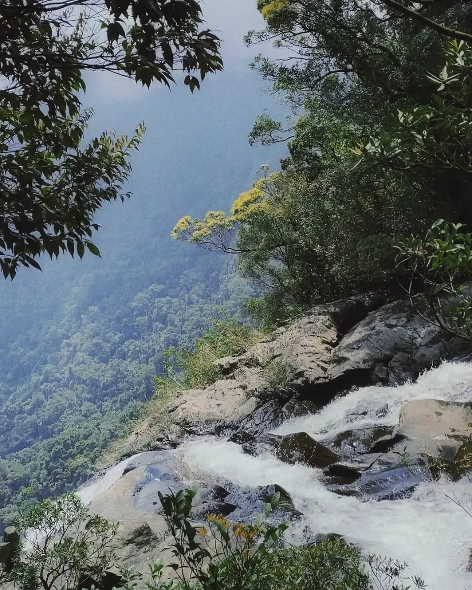 Trekking miền Trung: 10 cung đường đẹp nhất và cẩm nang A-Z 12 Vườn Quốc gia Bạch Mã - Timeout Việt Nam