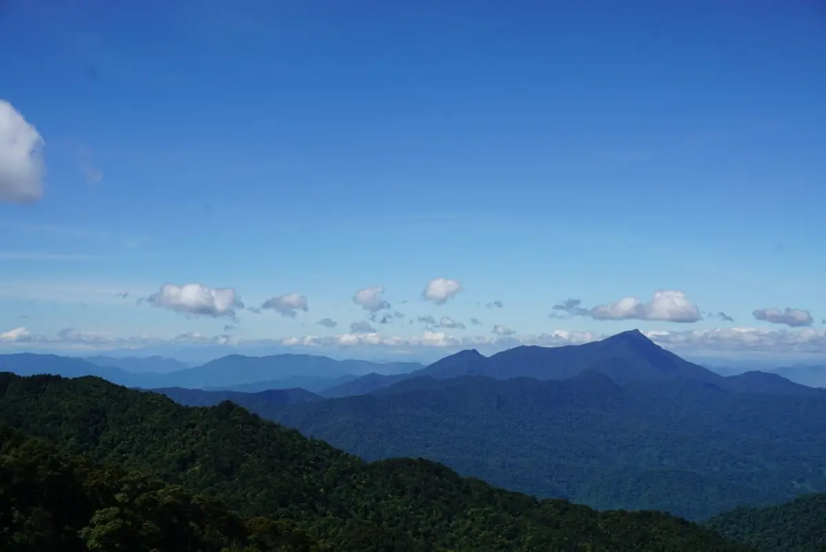 Trekking miền Trung: 10 cung đường đẹp nhất và cẩm nang A-Z 3 Vườn Quốc gia Bạch Mã - Timeout Việt Nam