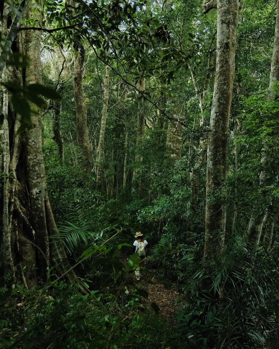 Trekking miền Trung: 10 cung đường đẹp nhất và cẩm nang A-Z 8 Vườn Quốc gia Bidoup - Núi Bà - Timeout Việt Nam