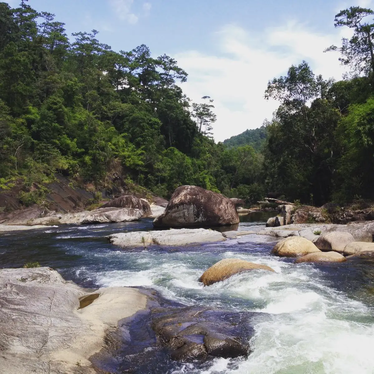 Trekking miền Trung: 10 cung đường đẹp nhất và cẩm nang A-Z 4 Vườn quốc gia Chư Yang Sin - Timeout Việt Nam