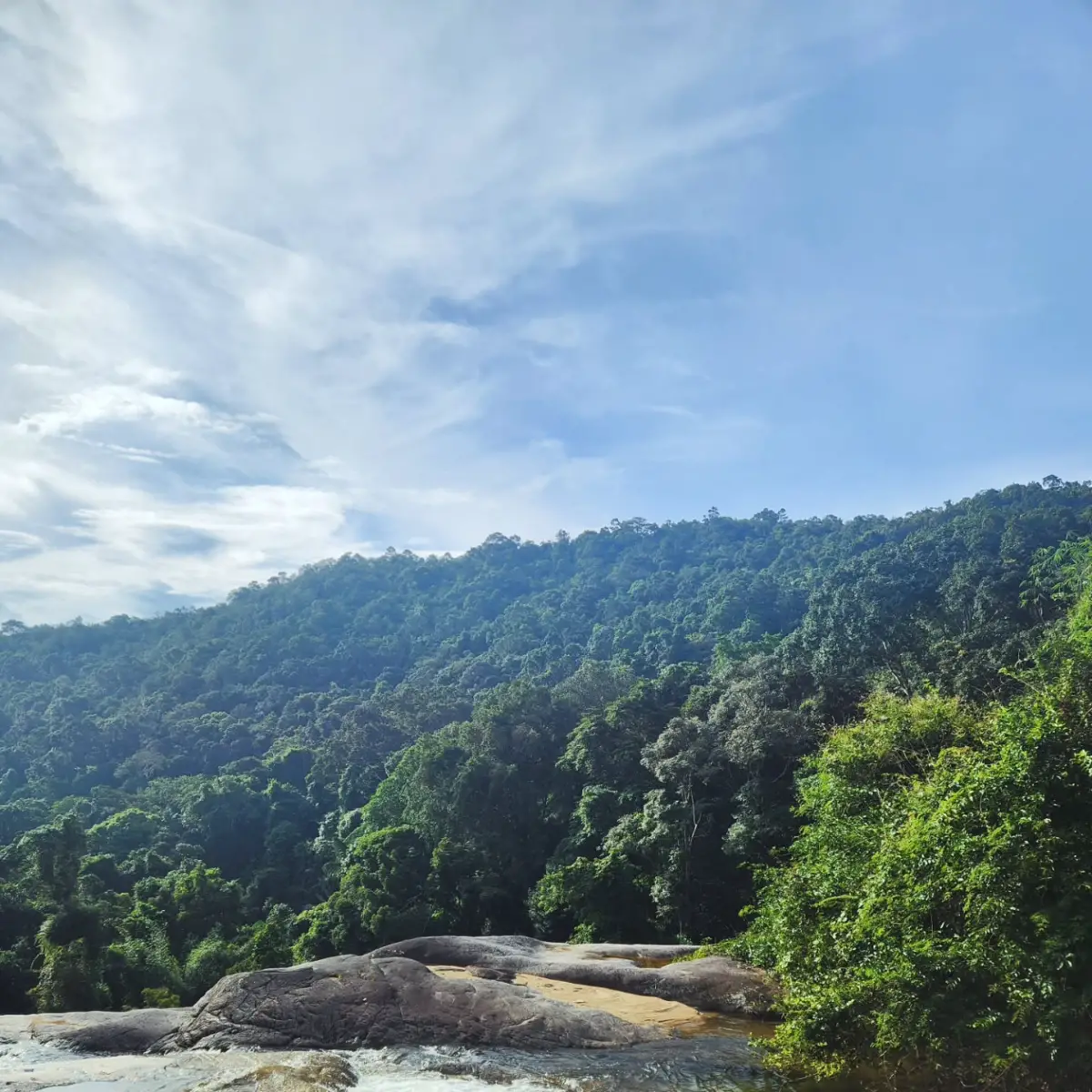 Trekking miền Trung: 10 cung đường đẹp nhất và cẩm nang A-Z 9 Vườn quốc gia Chư Yang Sin - Timeout Việt Nam