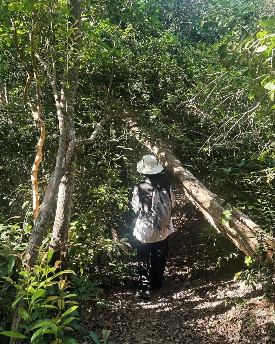 Trekking miền Trung: 10 cung đường đẹp nhất và cẩm nang A-Z 11 Vườn Quốc gia Núi Chúa - Timeout Việt Nam