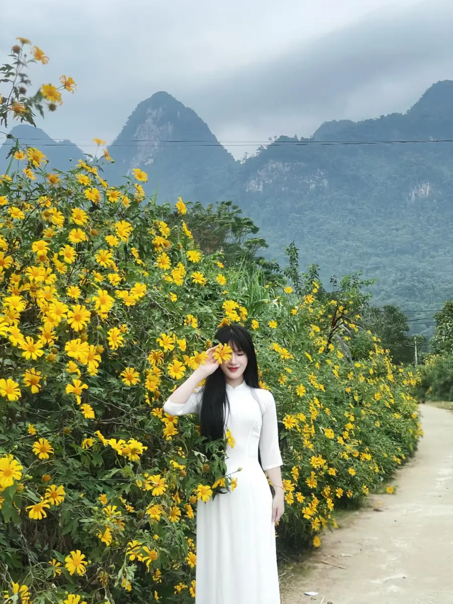 16 địa điểm chụp ảnh hoa dã quỳ đẹp nhất 3 miền 7 Chụp ảnh hoa dã quỳ Xã Phong Quang, Hà Giang - Timeout Việt Nam