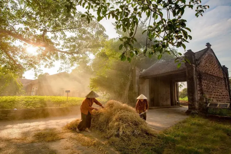15 Làng quê Việt Nam đẹp nhất: Điểm đến chữa lành tâm hồn