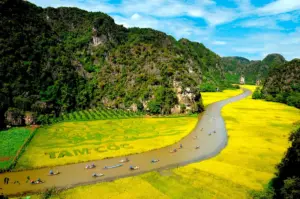 7 kinh nghiệm du lịch Tam Cốc Bích Động tự túc chi tiết